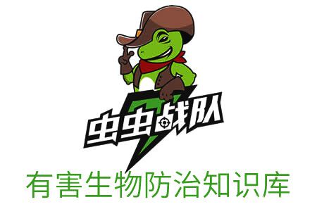 上门灭白蚂蚁_上门灭白蚁价格表_上门灭白蚁价格是多少