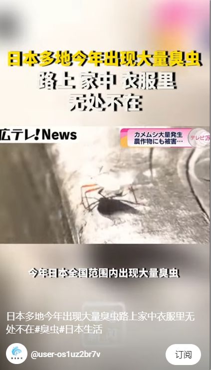 灭臭虫的药有哪些_速灭臭虫_灭臭虫效果最好的药